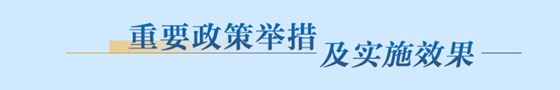 重要政策舉措及實施效果